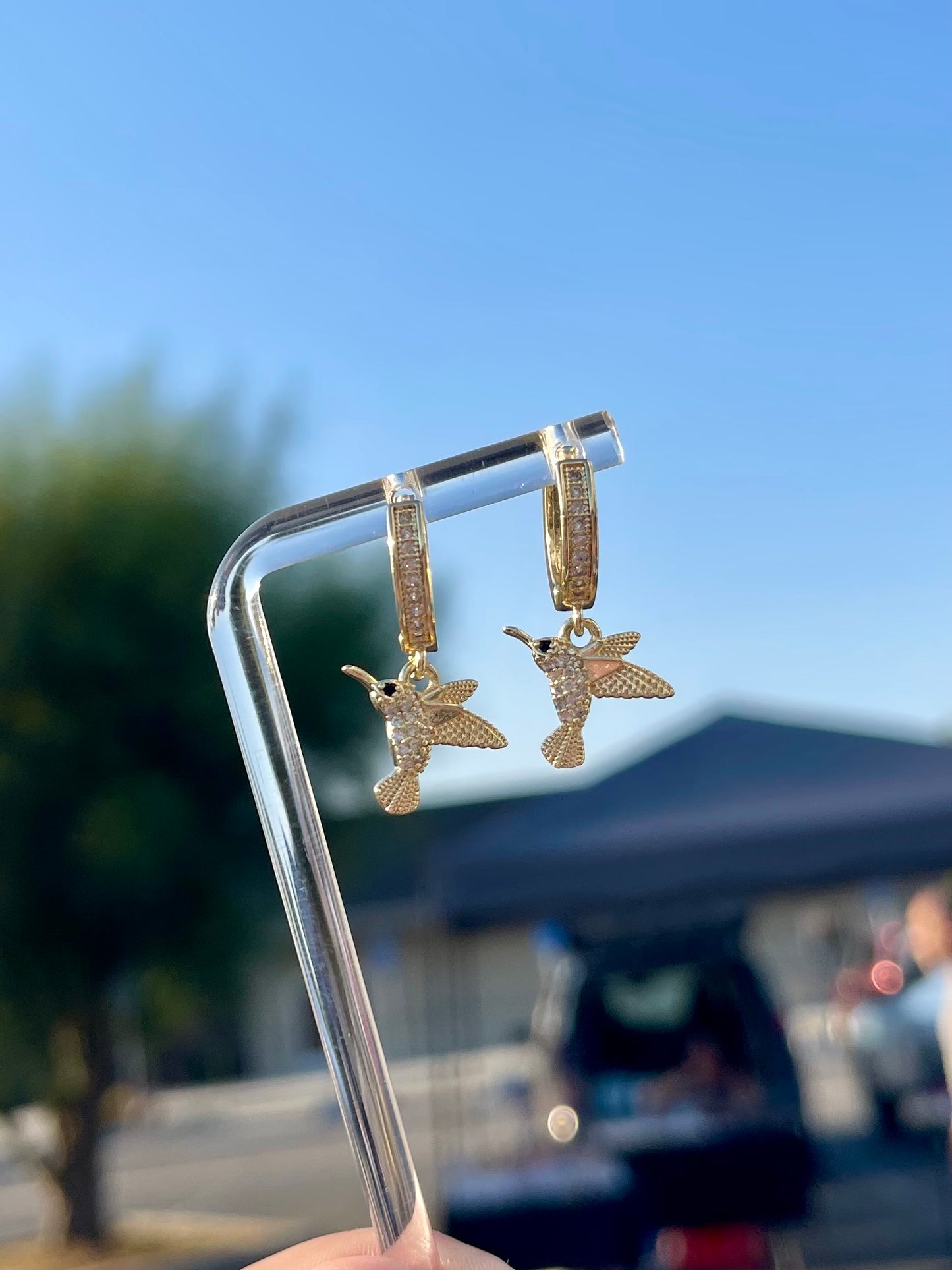 Hummingbird hoops