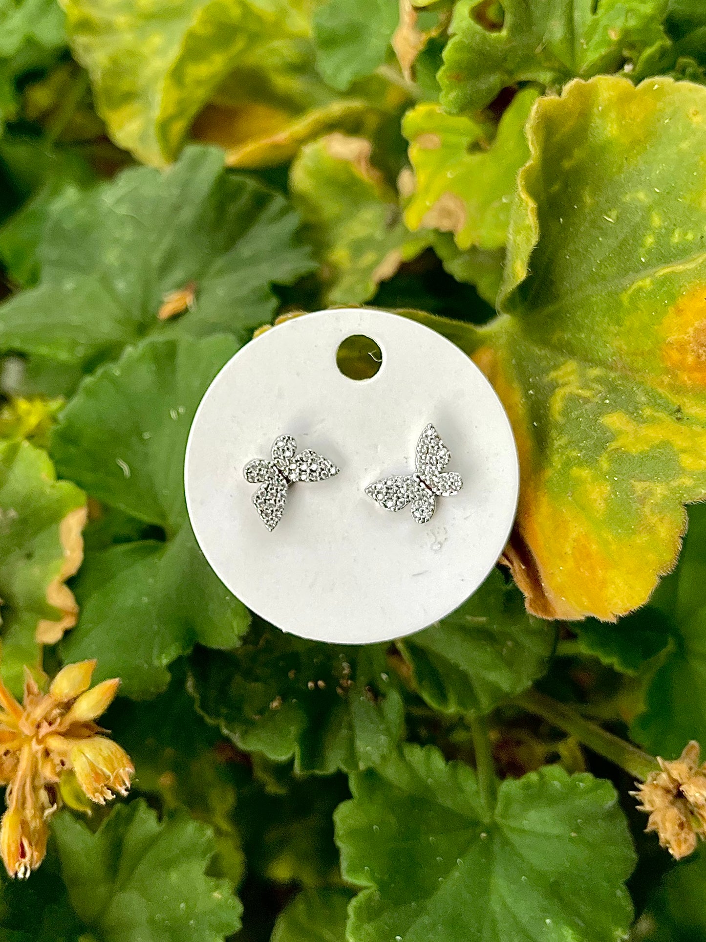 Silver butterfly earrings